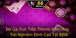 A Ga Truc Tiep Thomo Hom Nay Trai Nghiem Inh Cao Tai Bj88