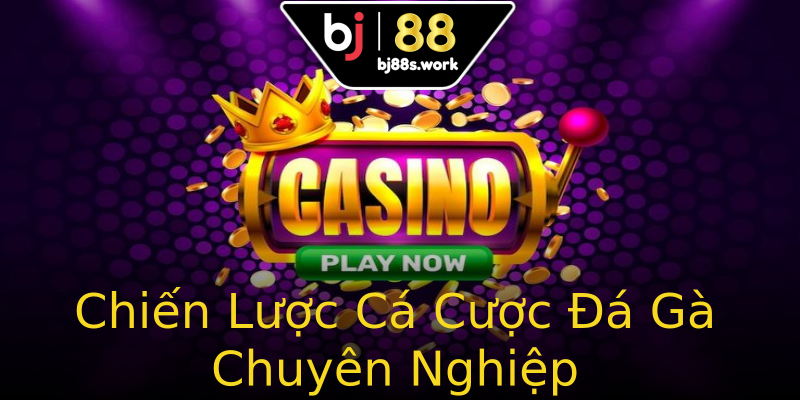 Chiến Lược Cá Cược Đá Gà Chuyên Nghiệp