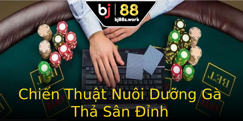 Chiến Thuật Nuôi Dưỡng Gà Thả Sân Đỉnh