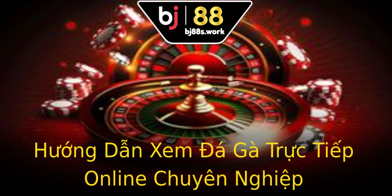 Hướng Dẫn Xem Đá Gà Trực Tiếp Online Chuyên Nghiệp