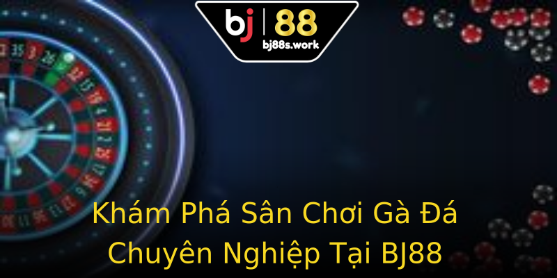 Khám Phá Sân Chơi Gà Đá Chuyên Nghiệp Tại BJ88 Khám Phá Sân Chơi Gà Đá Chuyên Nghiệp Tại BJ88