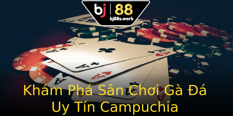 Khám Phá Sân Chơi Gà Đá Uy Tín Campuchia Khám Phá Sân Chơi Gà Đá Uy Tín Campuchia