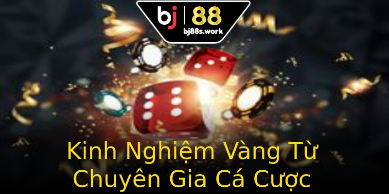 Kinh Nghiệm Vàng Từ Chuyên Gia Cá Cược