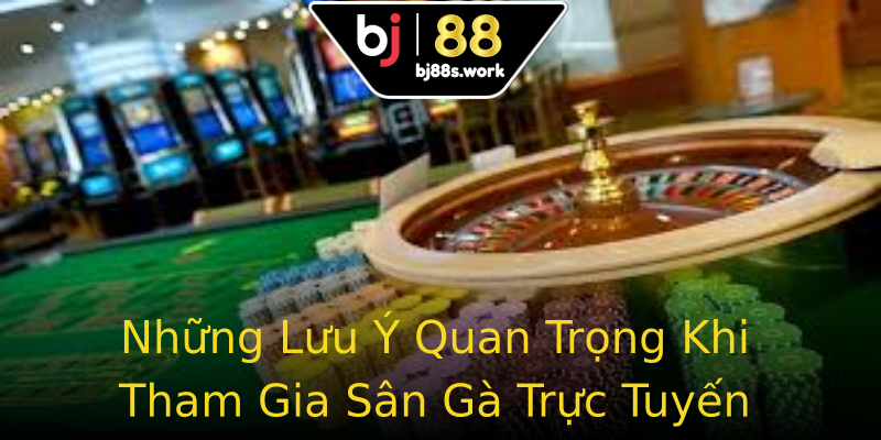 Những Lưu Ý Quan Trọng Khi Tham Gia Sân Gà Trực Tuyến