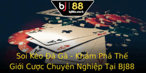 Soi Keo A Ga Kham Pha The Gioi Cuoc Chuyen Nghiep Tai Bj88