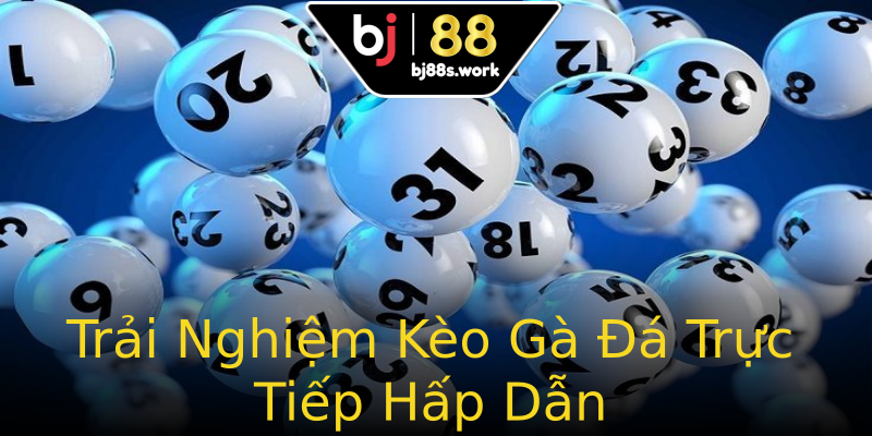 Trải Nghiệm Kèo Gà Đá Trực Tiếp Hấp Dẫn Trải Nghiệm Kèo Gà Đá Trực Tiếp Hấp Dẫn