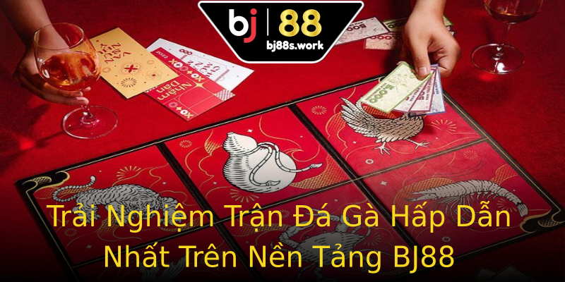 Trải Nghiệm Trận Đá Gà Hấp Dẫn Nhất Trên Nền Tảng BJ88